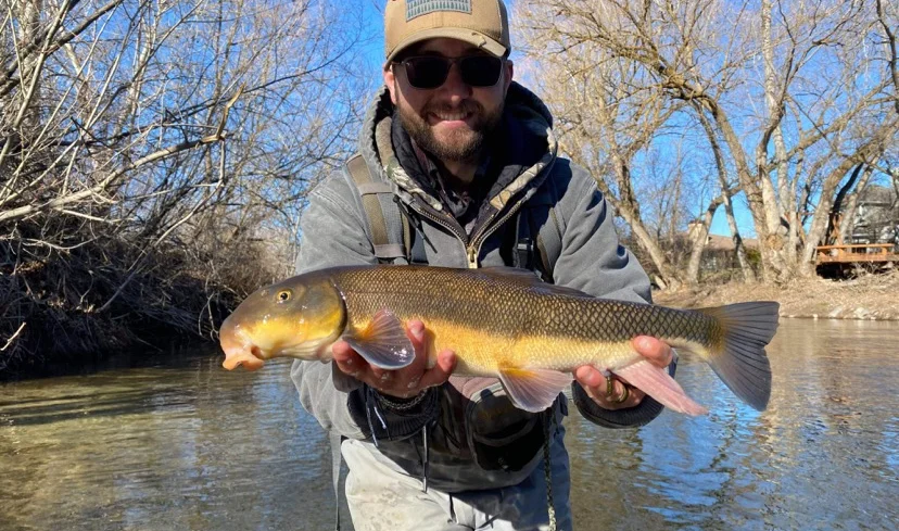 boise fly fishing guides